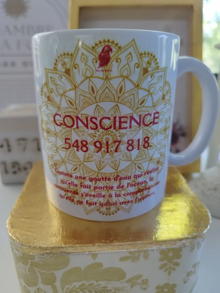 IMG_20250717_163330 - Copie.webp