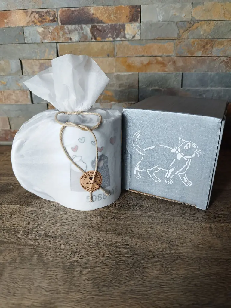 IMG_20250916_170849 - Copie.webp