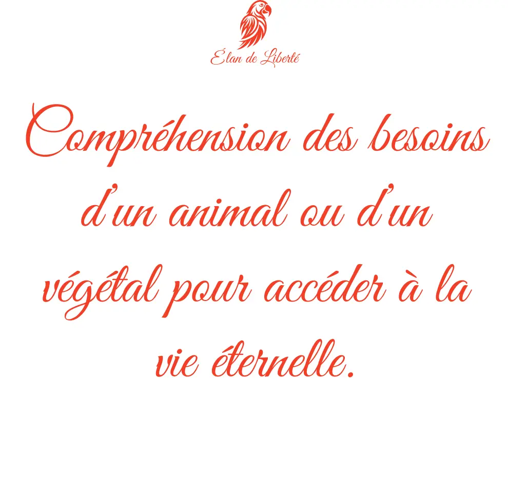 Mug personnalisé Chat verso.webp