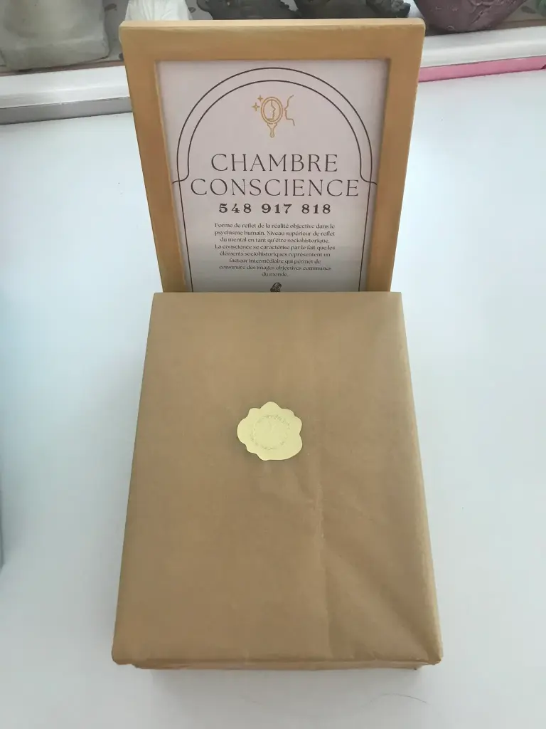 Cadre chambre Conscience                 548 917 818